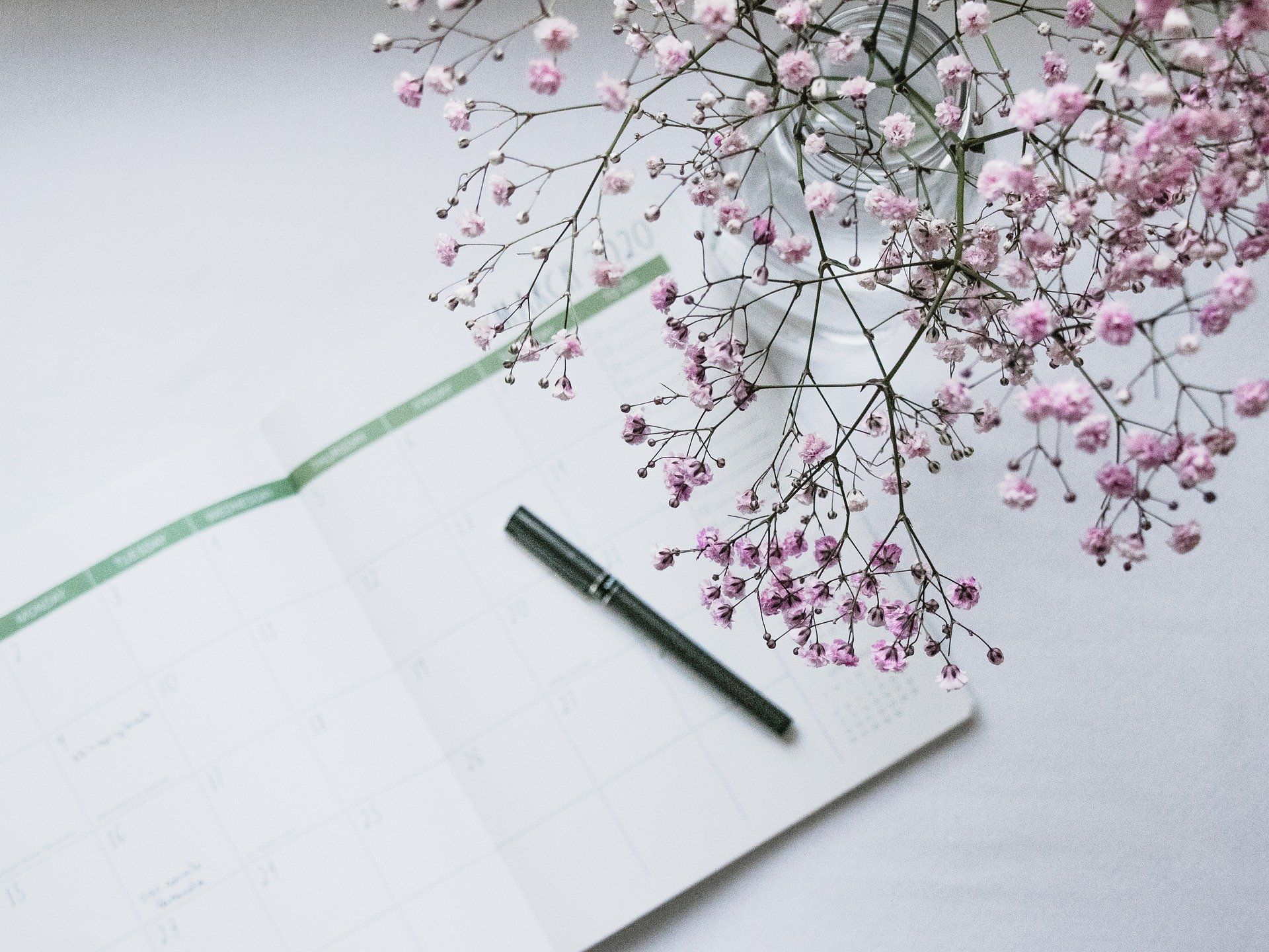 Covid-19, Com quedaran els terminis processals?